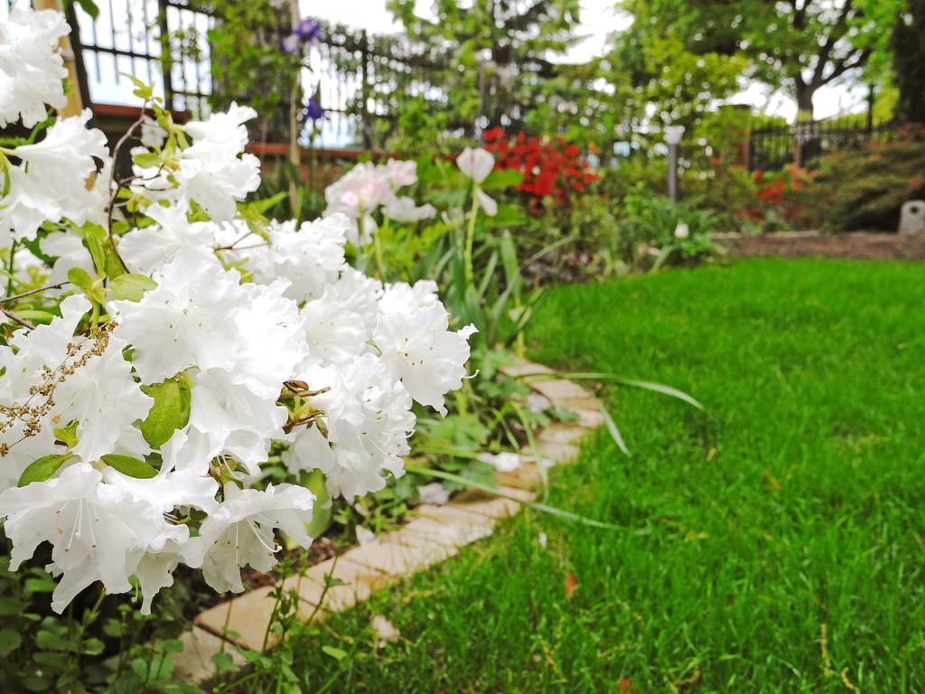 B&B Dimora Morelli Gubbio Exterior foto